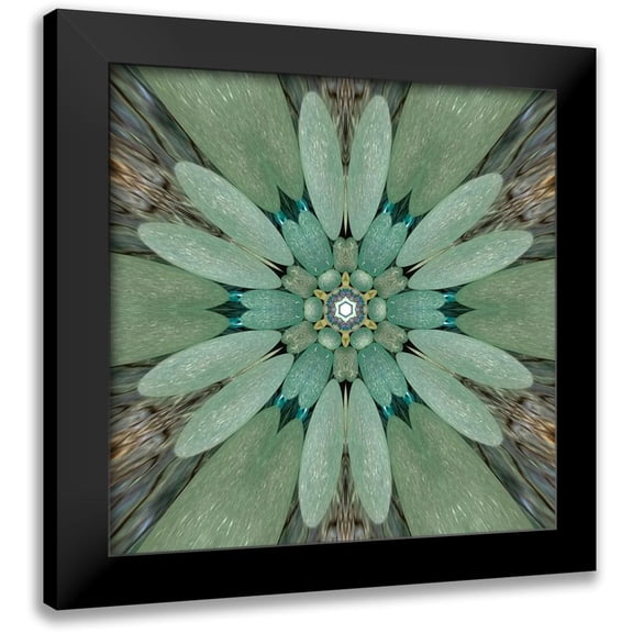 Studio Nine6 12x12 Black Modern Framed Museum Art Print Titled - Sea Glass E