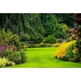 Studio-Photo-Backdrops-Photo-Backgrounds-Photographic-View-Natural-Outdoor-Park-Garden-Grass-Green-Flower-Pink-Spring_b6c1759c-be8b-432b-b262-72b03b5e38f1.f94695db9bc1c604c2c75e813a1fb1fd.jpeg?odnHeight=117&odnWidth=117&odnBg=FFFFFF