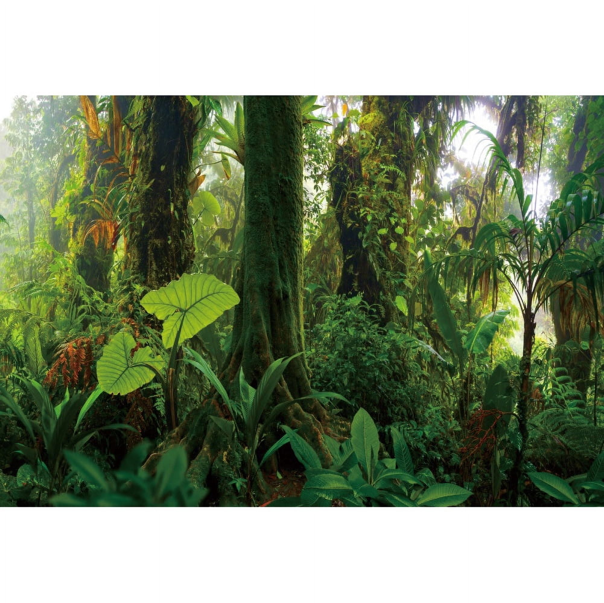 Studio Photo Backdrops r Room Scenic Natural Leaves Green Forest Rain ...