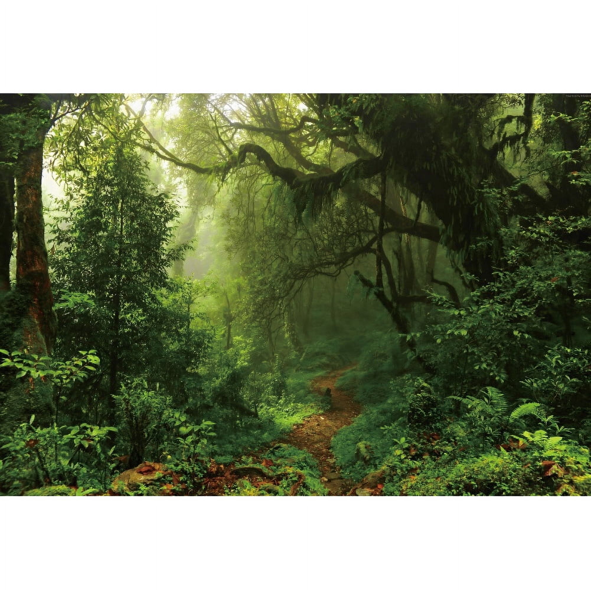 Studio Photo Backdrops r Room Scenic Natural Leaves Green Forest Rain ...