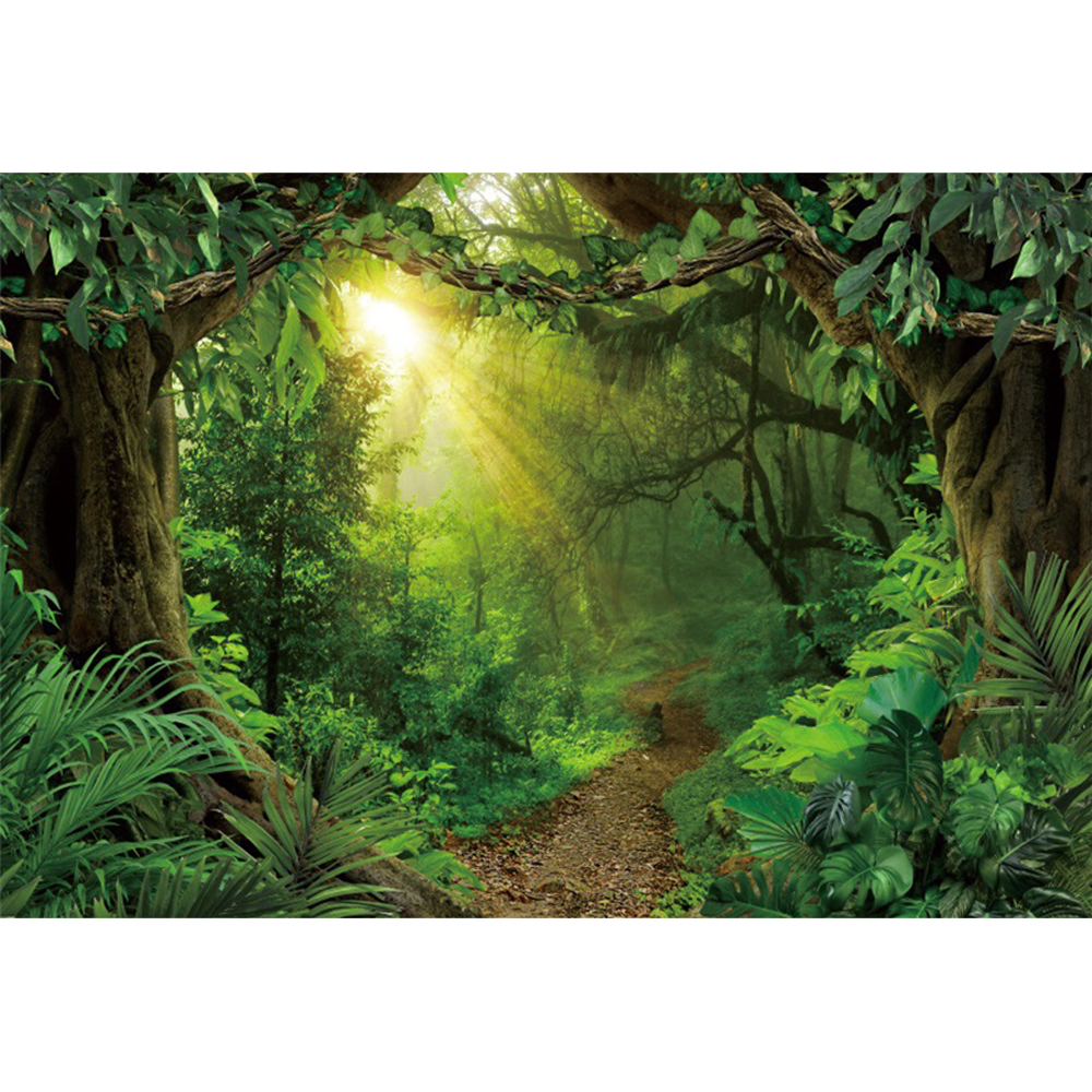 Studio Photo Backdrops r Room Scenic Natural Leaves Green Forest Rain ...