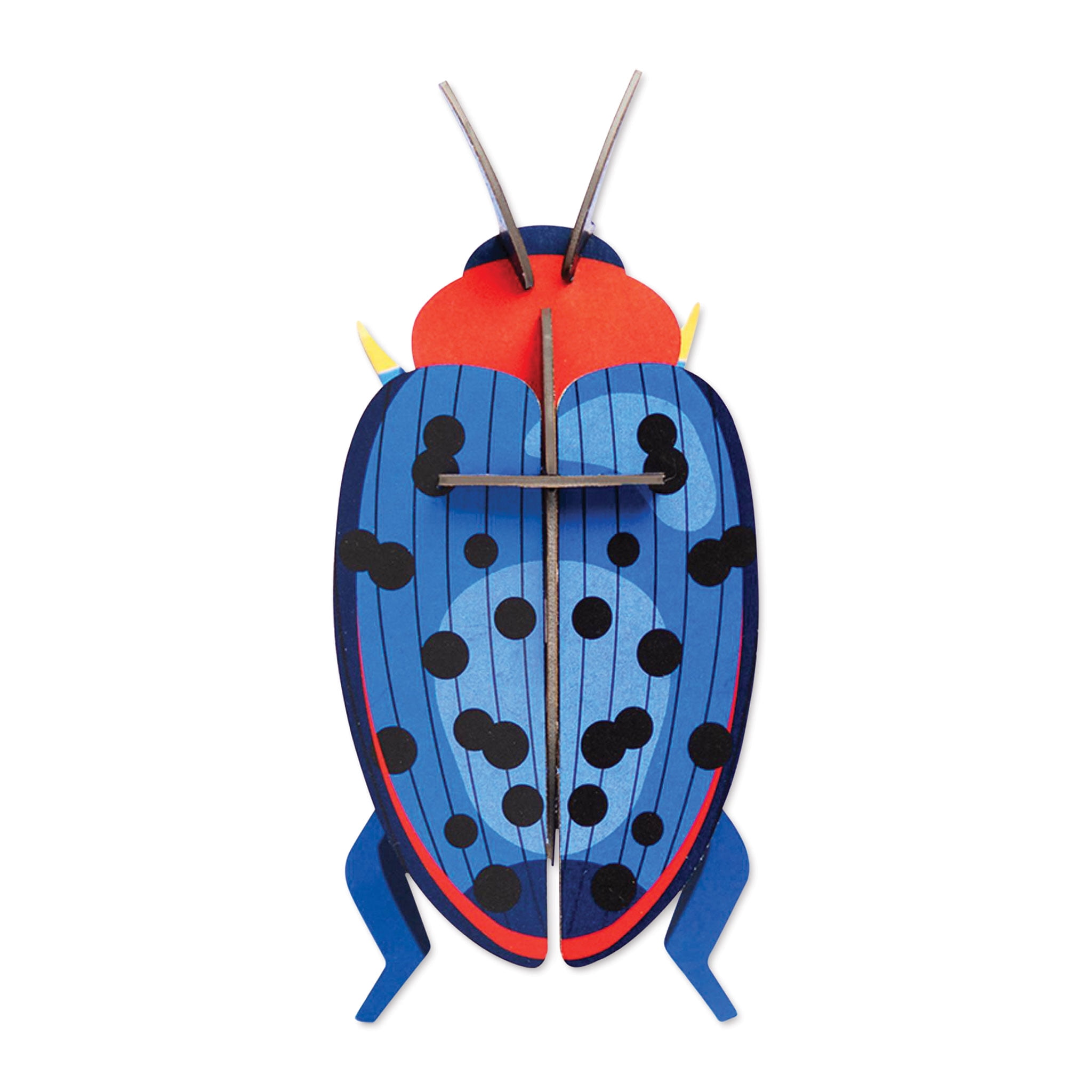 Studio Roof 3D Wall Decoration - Fungus Beetle