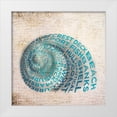 thumbnail image 1 of Studio, Sd Graphics 15x15 White Modern Wood Framed Museum Art Print Titled - Shell Type II, 1 of 4