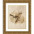 thumbnail image 1 of Studio, Sd Graphics 15x18 Gold Ornate Wood Framed with Double Matting Museum Art Print Titled - Vintage Bird II, 1 of 4