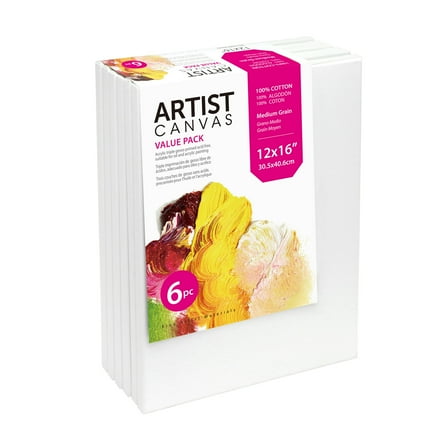 Studio Stretched Canvas, 100% Cotton Acid Free White Canvas, 12"X16", 6 Pieces, Academic Canvas, Great Chioce for Beginners and Hobbyists of All Skill Levels.