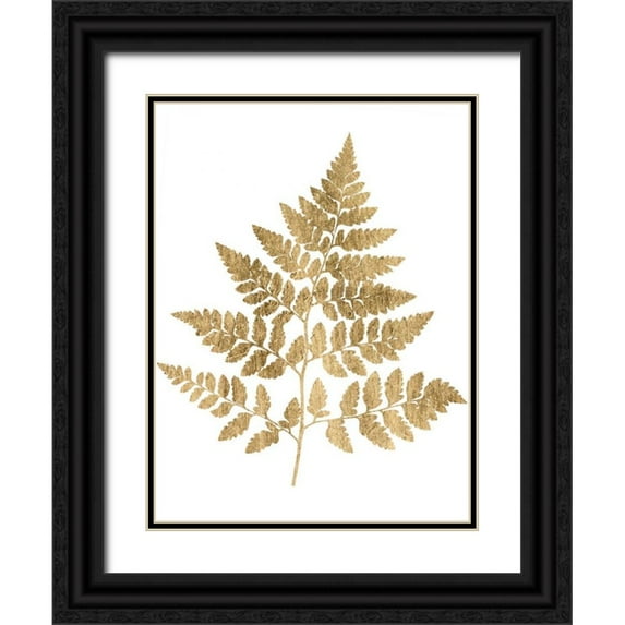 Studio W 12x14 Black Ornate Wood Framed with Double Matting Museum Art Print Titled - Graphic Gold Fern I