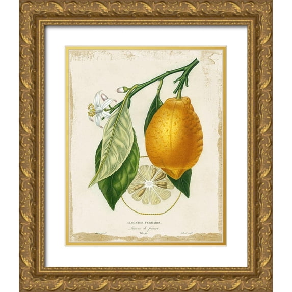 Studio W 12x14 Gold Ornate Wood Framed with Double Matting Museum Art Print Titled - French Lemon II