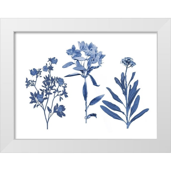 Studio W 14x12 White Modern Wood Framed Museum Art Print Titled - Indigo Pressed Florals II