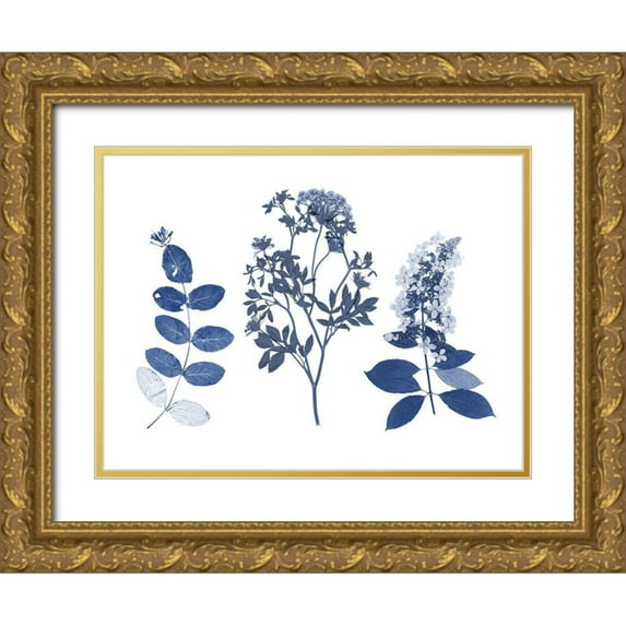 Studio W 18x15 Gold Ornate Wood Framed with Double Matting Museum Art Print Titled - Indigo Pressed Florals I