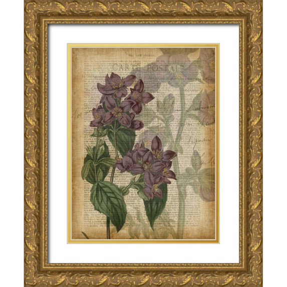 Studio W 19x24 Gold Ornate Wood Framed with Double Matting Museum Art Print Titled - Fuchsia Flowers II