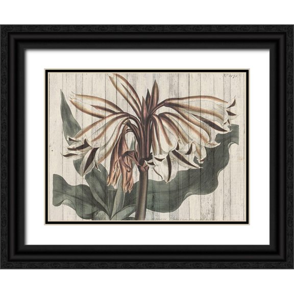 Studio W 32x25 Black Ornate Wood Framed with Double Matting Museum Art Print Titled - Rustic Floral III