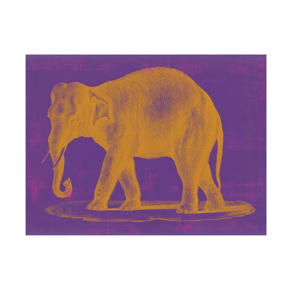 Studio W 'Safari Pop II' Canvas Art