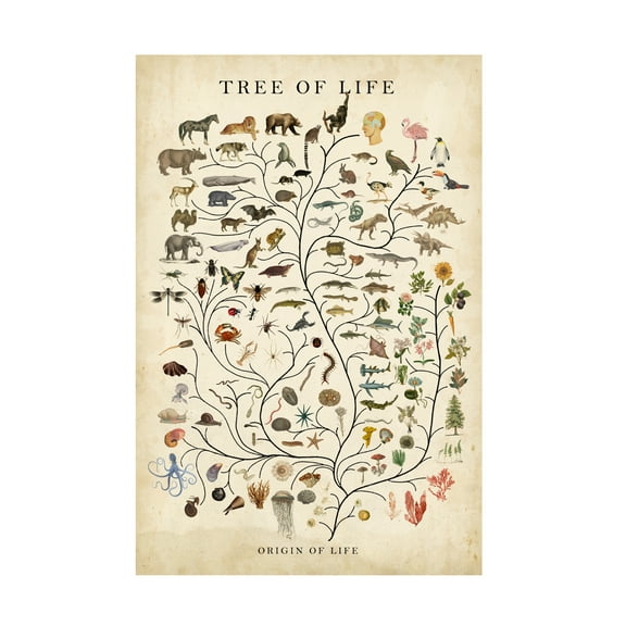 Studio W 'Tree of Life' Canvas Art
