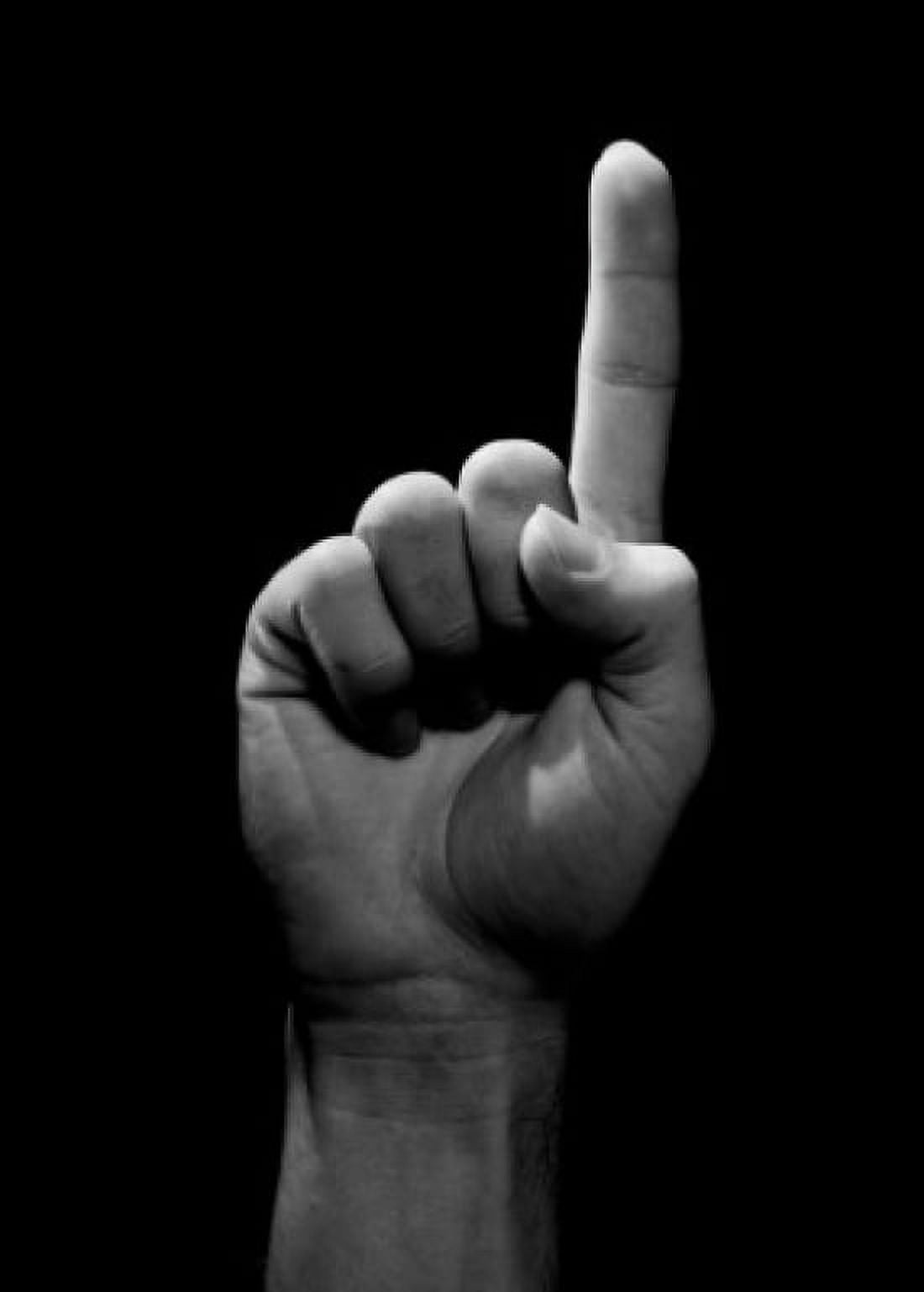 Studio shot of male hand pointing Canvas Art - (18 x 24)