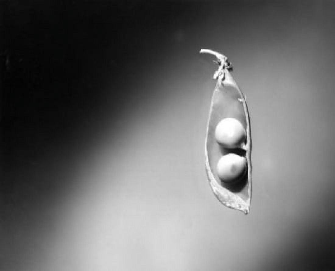 Studio shot of peas Canvas Art - (18 x 24)