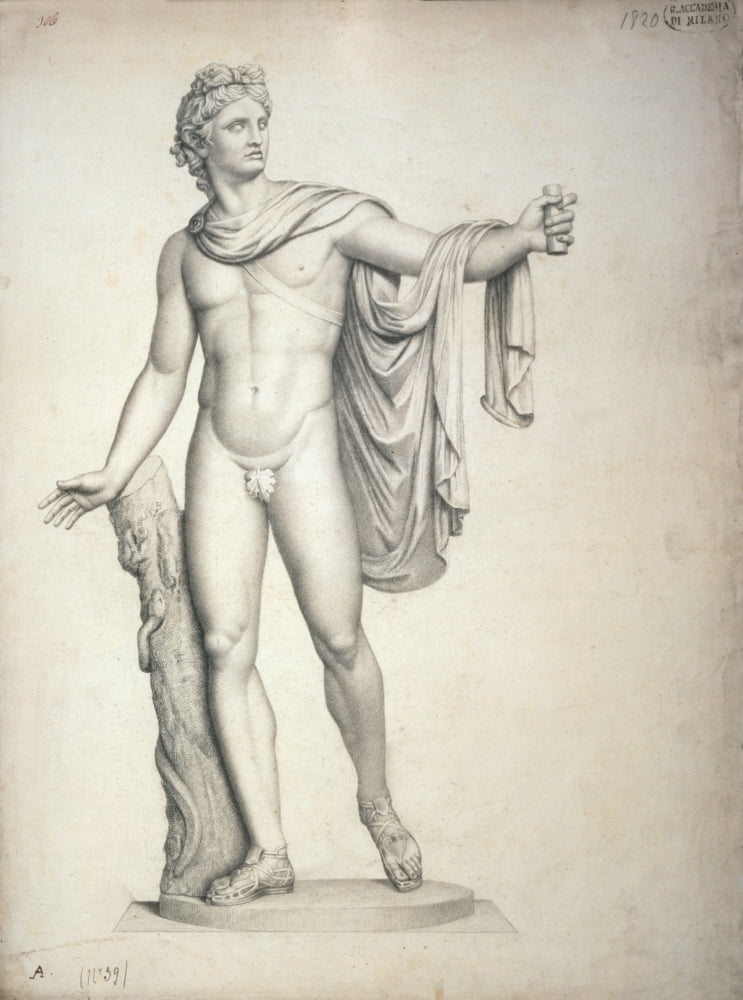 Study After Apollo Belvedere Canvas Art - (18 x 24)
