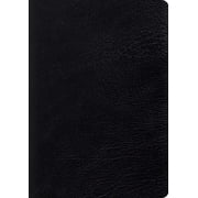 Study Bible-ESV-Large Print