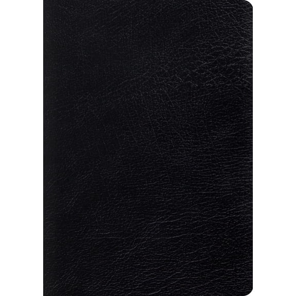 Study Bible-ESV-Large Print