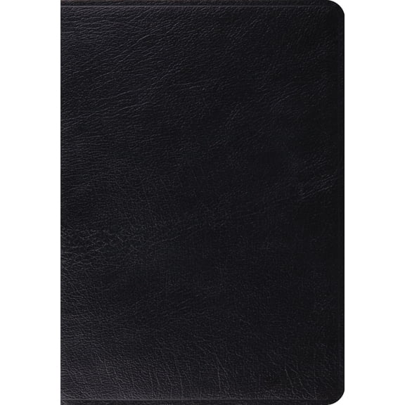 Study Bible-ESV, (Paperback)