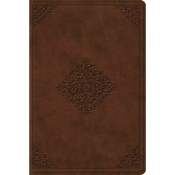 Pre-Owned Study Bible-ESV-Personal Size Ornament Design (Other)