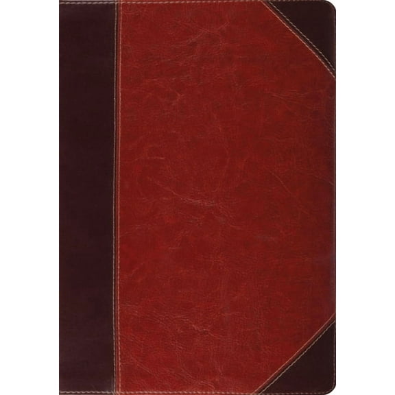 Study Bible-ESV-Portfolio Design (Other)