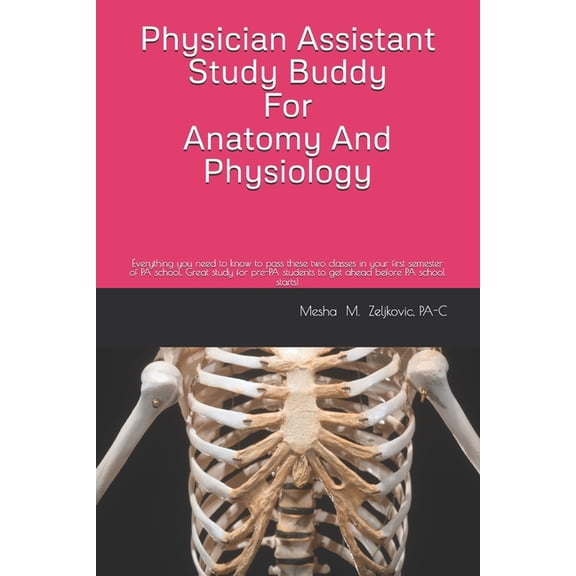 Study Buddy Physician Assistant Study Buddy For Anatomy And Physiology: Everything you need to know to pass these two classes in you, Book 4, (Paperback)