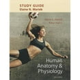 thumbnail image 1 of Pre-Owned Study Guide for Human Anatomy & Physiology (Paperback) by Elaine N. Marieb, Katja Hoehn, 1 of 1
