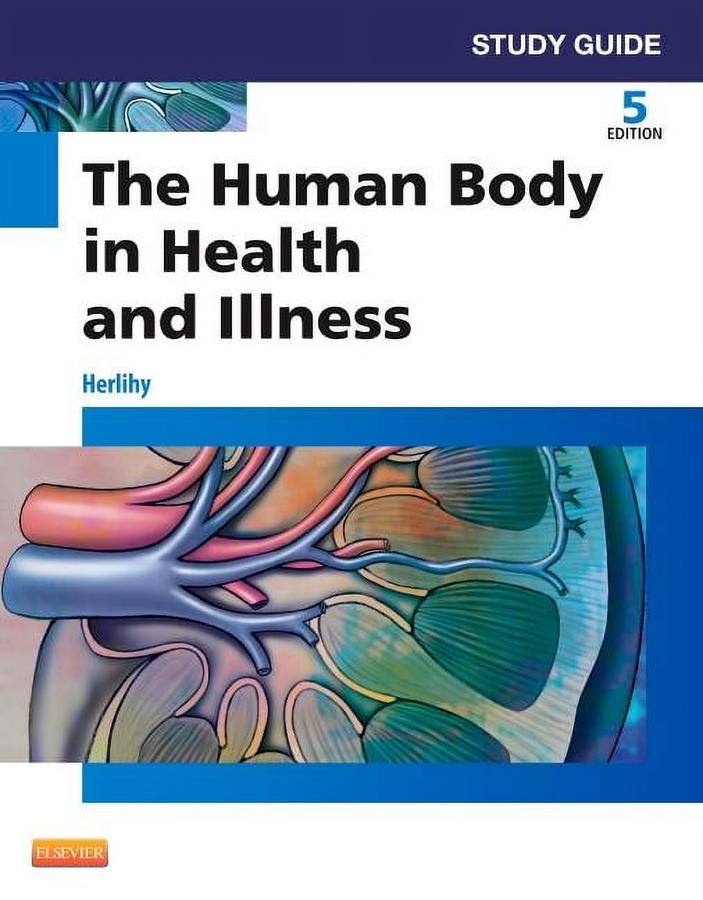 Study Guide for The Human Body in Health and Illness - Walmart.com