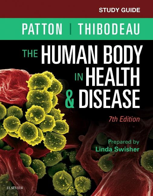 KEVIN T PATTON; LINDA SWISHER; GARY A THIBODEAU Study Guide for the Human Body in Health & Disease (Edition 7) (Paperback)