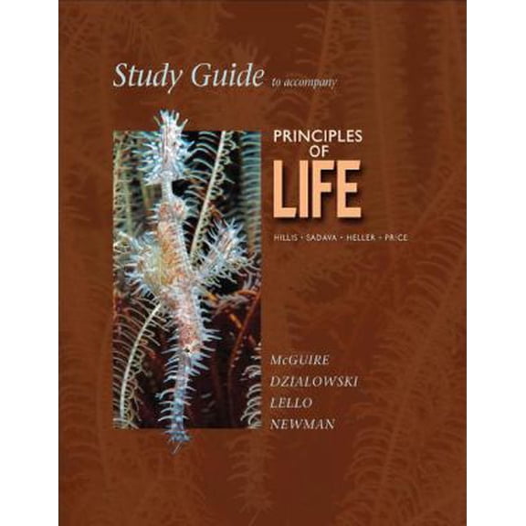 Pre-Owned Study Guide to Accompany Principles of Life (Paperback) 1429279303 9781429279307