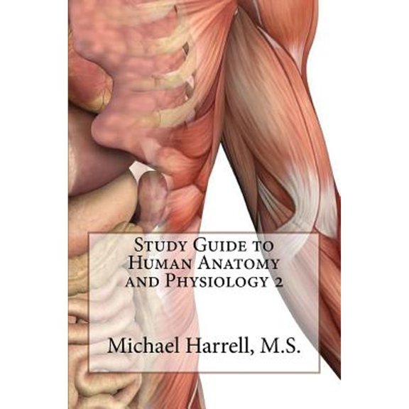 Pre-Owned Study Guide to Human Anatomy and Physiology 2 (Paperback) 1479302988 9781479302987