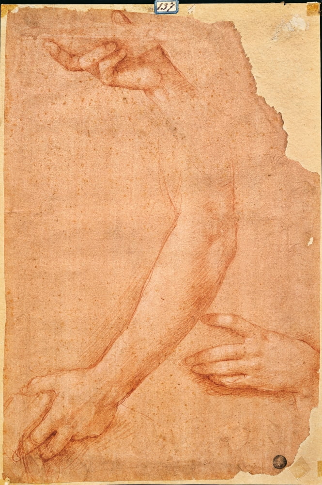 Study Of Hands And Arms Canvas Art - (18 x 24)