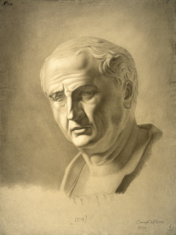 Study Of The Bust Of Vespasian (Studio Dal Busto Di Vespasiano) Canvas Art - (24 x 36)