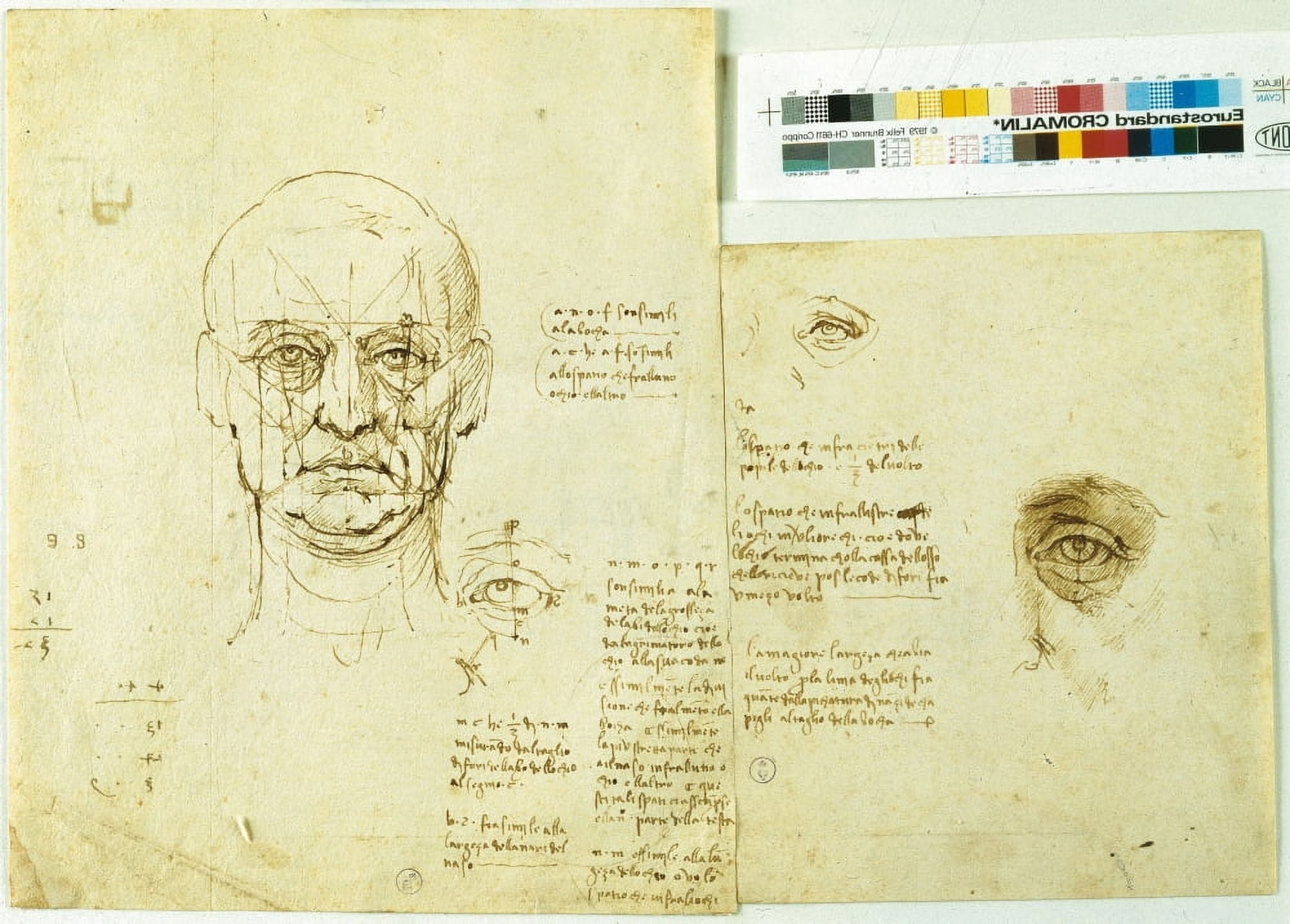Study Of The Proportions Face And Eye Studio Proportion Of Ear Canvas Art - (36 x 24)