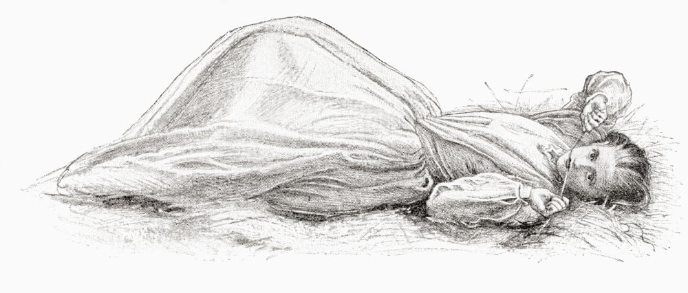 Study For The Painting Apple Blossoms Also Known As Spring By Sir John Everett Millais From The Strand Magazine Published 1896 Canvas Art - Ken Welsh Design Pics (21 x 9)