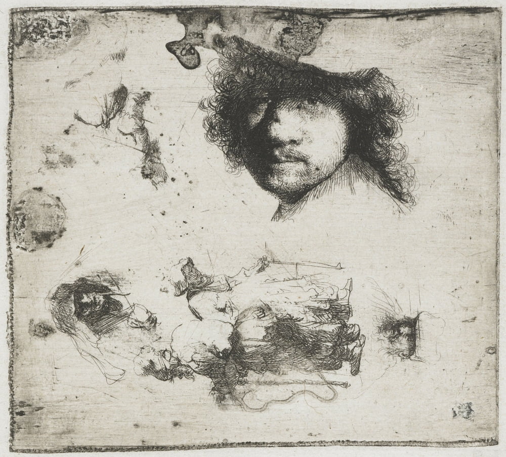 Study Sheet Self-Portrait Canvas Art -  (36 x 24)
