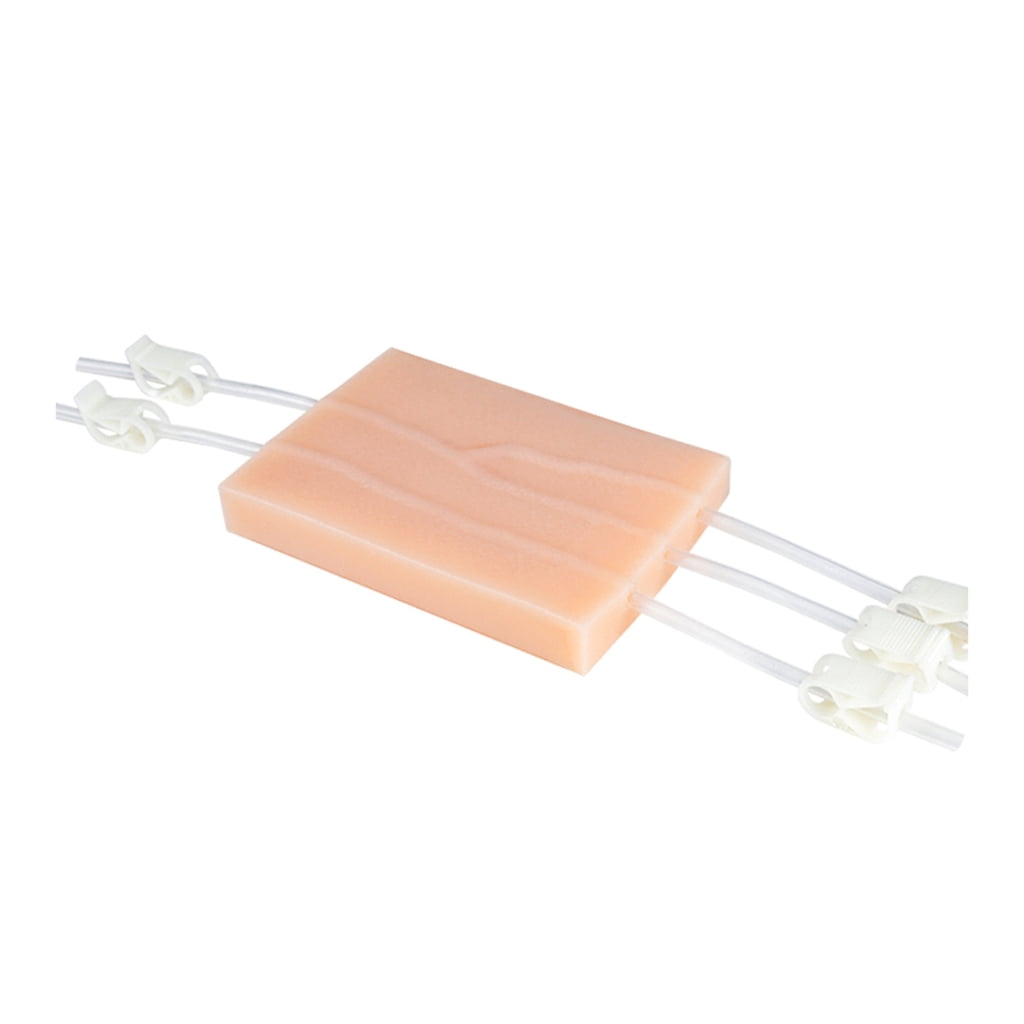 Study Venipuncture Injection Simulator Training Pad Model Veins ...