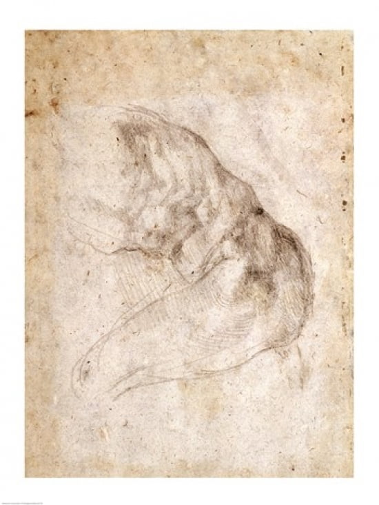 Study for The Creation of Adam Canvas Art - Michelangelo Buonarroti (24 x 36)