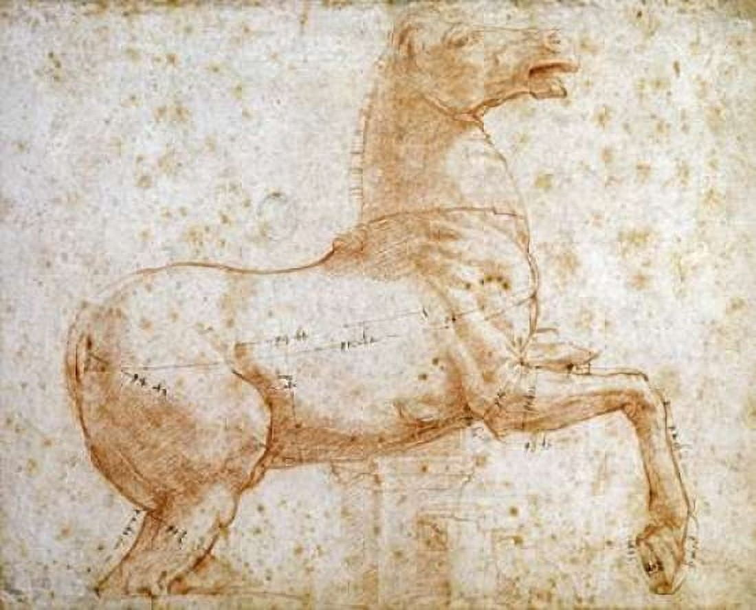Study of One of The Quirinal Marble Horses Canvas Art - Raphael (20 x 24)