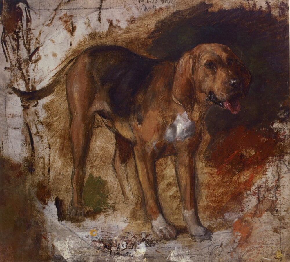 Study of a Bloodhound 1848 Canvas Art - William Holman Hunt (18 x 24)
