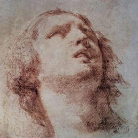 Study of a Head Looking Up Canvas Art - Pietro Berrettini (24 x 24)