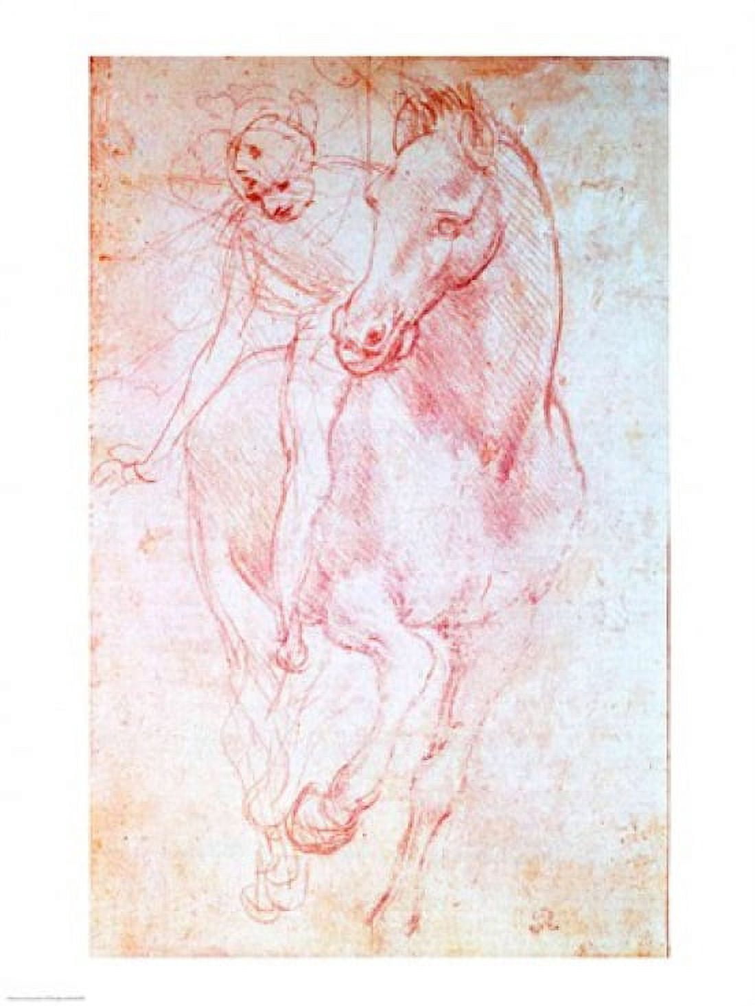 Study of a Horse and Rider c1481 Canvas Art - Leonardo Da Vinci (18 x 24)
