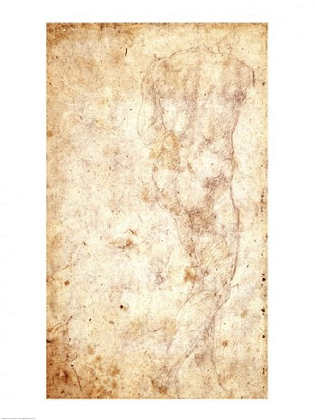 Study of a Male Nude Canvas Art - Michelangelo Buonarroti (18 x 24)