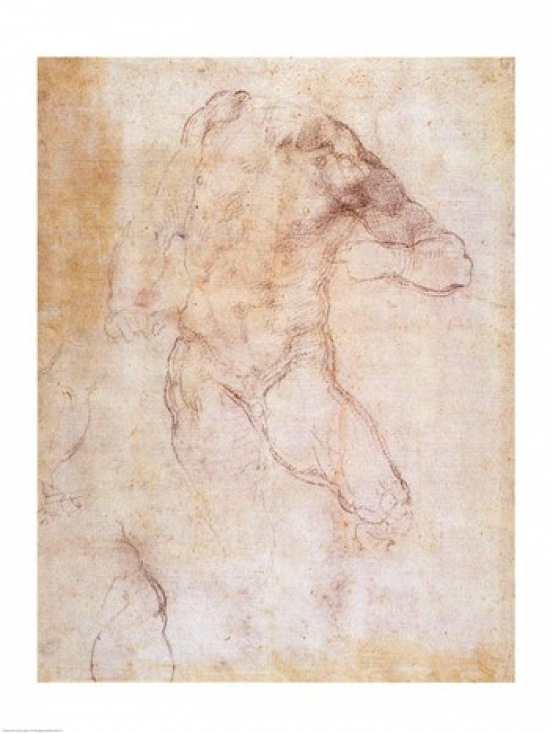 Study of a male nude Canvas Art - Michelangelo Buonarroti (24 x 36)