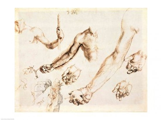 Study of male hands and arms Canvas Art - Albrecht Durer (24 x 18)