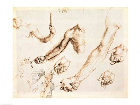 Study of male hands and arms Canvas Art - Albrecht Durer (36 x 24)