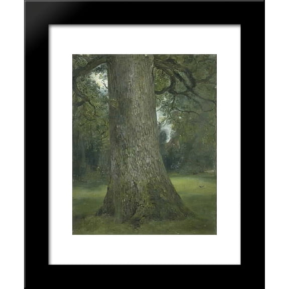 Study of the Trunk of an Elm Tree 20x24 Framed Art Print by John Constable
