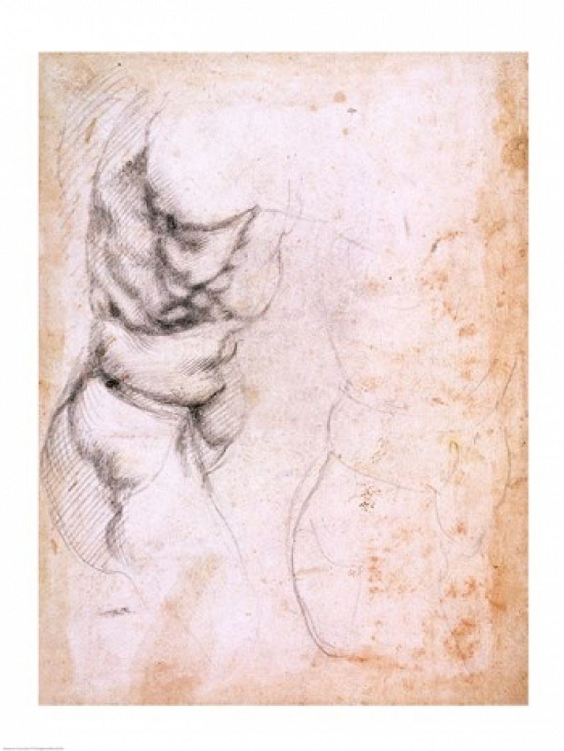 Study of torso and buttock Canvas Art - Michelangelo Buonarroti (24 x 36)