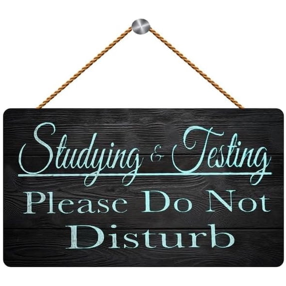 Studying & Testing Please Do Not Disturb Wooden Hanging Wall Art 12 x 8 ...
