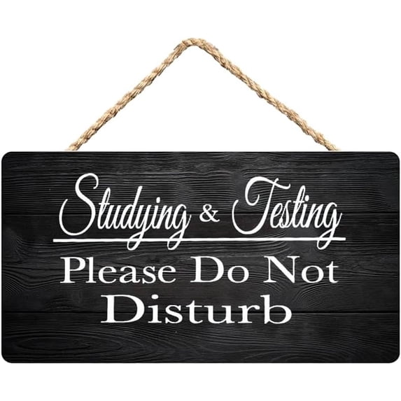 Studying & Testing Please Do Not Disturb Wooden Wall Hanging Sign 12 x ...